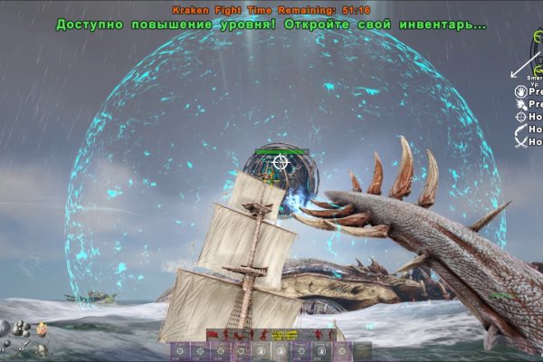 Kraken 12g