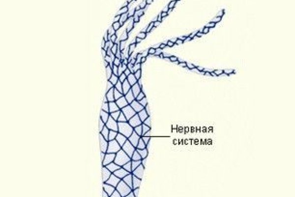Ссылка на кракен тор браузер
