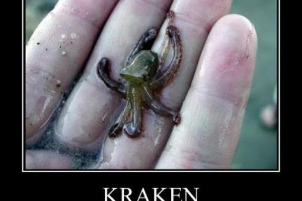 Kraken 12 at