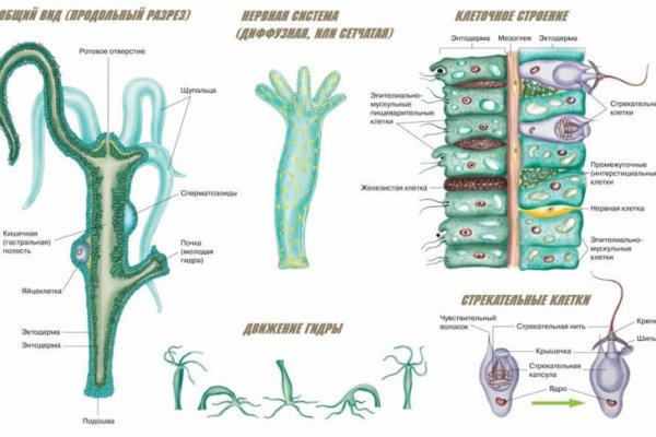 Сайт kraken тор