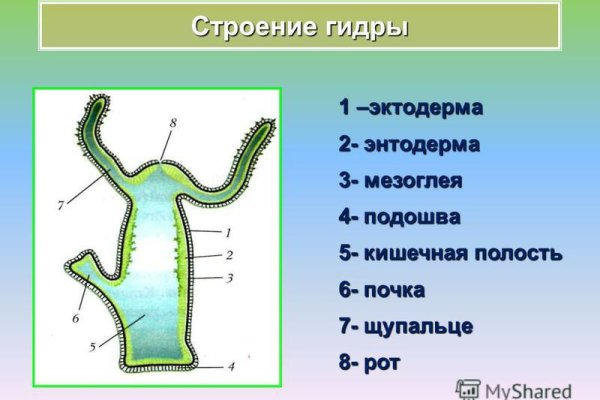 Кракен ссылка прокатис